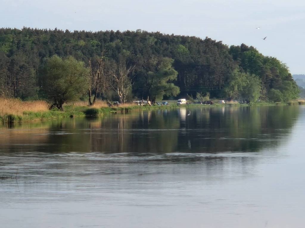 Działka budowlana na sprzedaż Ognica  760m2 Foto 7