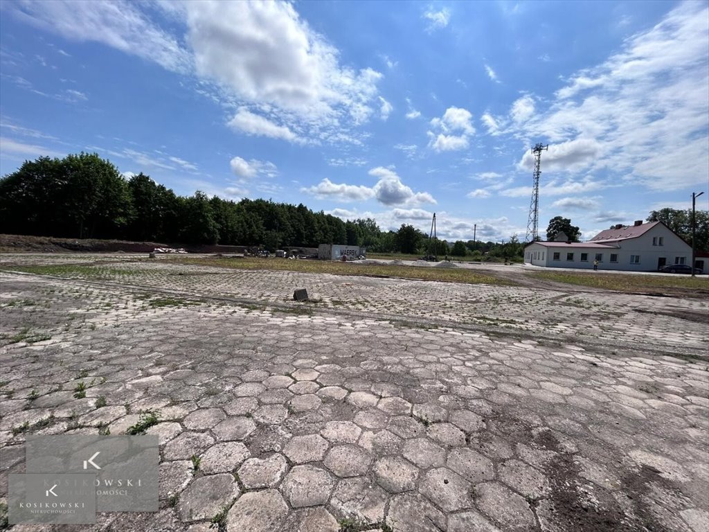 Działka inna na sprzedaż Pokój, gmina Pokój  5 000m2 Foto 4