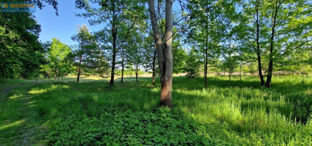 Działka rolna na sprzedaż Okuniew  1 230m2 Foto 6