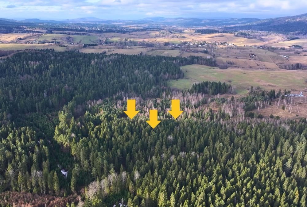 Polecam działkę 1,14 ha w Bieszczadach z własnym źródłem i prywatnością Czarna, Lipie, powiat bieszczadzki  11 400m2 Foto 1