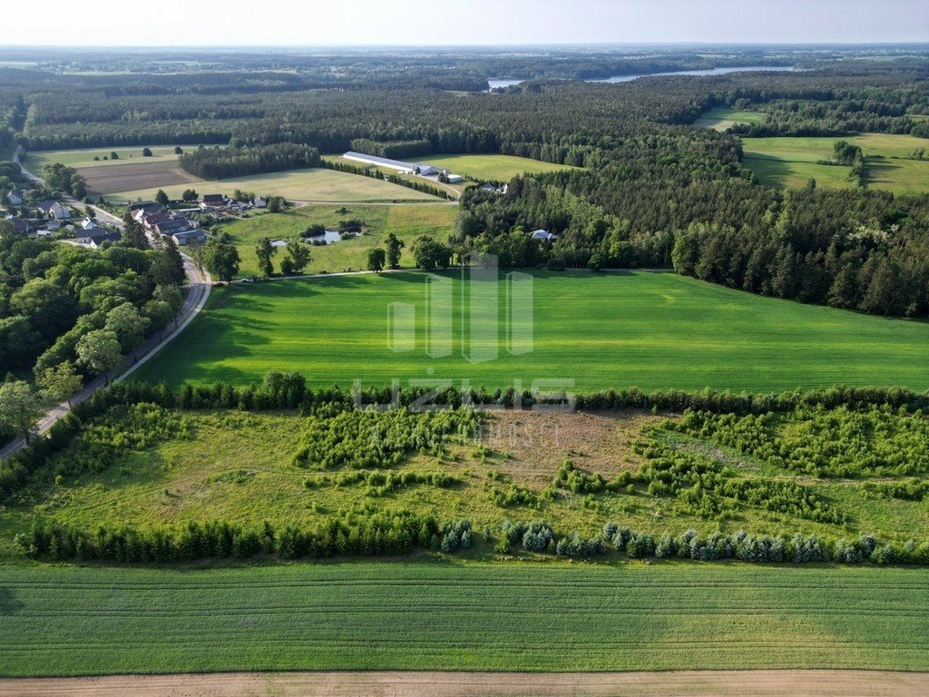 Działka budowlana na sprzedaż Bietowo  3 000m2 Foto 3