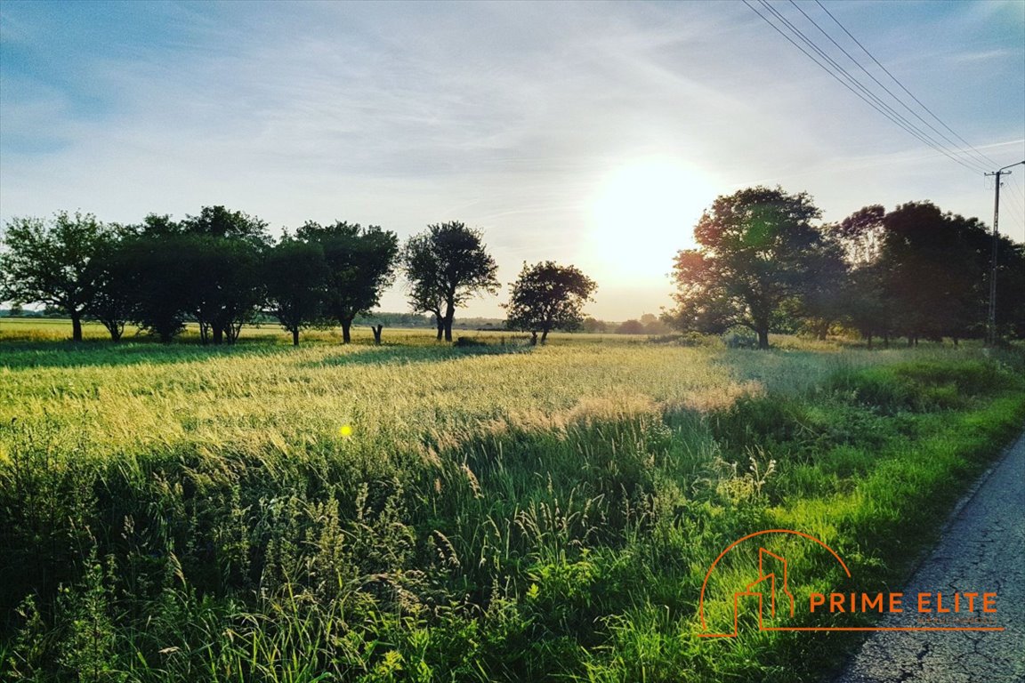 Działka budowlana na sprzedaż Gleźno  250 000m2 Foto 1