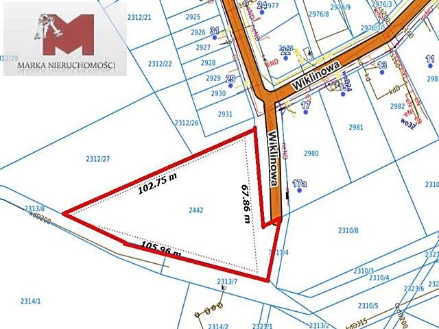 Duża działka 43 arów z możliwością zabudowy i usług Kędzierzyn-Koźle, Wiklinowa  4 302m2 Foto 1