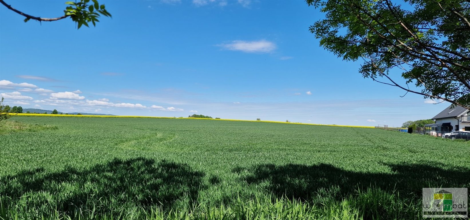 Działka rolna 5000 m² z mediami - inwestycja lub działalność Lutomia Dolna  5 000m2 Foto 1