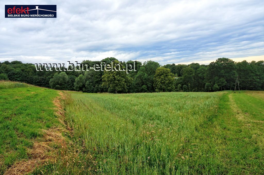 Działka budowlana na sprzedaż Iłownica 4 200m2 Foto 1 Działka budowlana na sprzedaż Iłownica 4 200m2 Foto 1