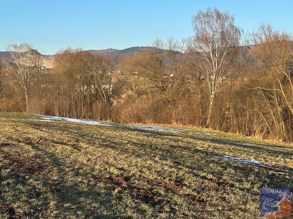 Działka budowlana na sprzedaż Męcina  4 200m2 Foto 5