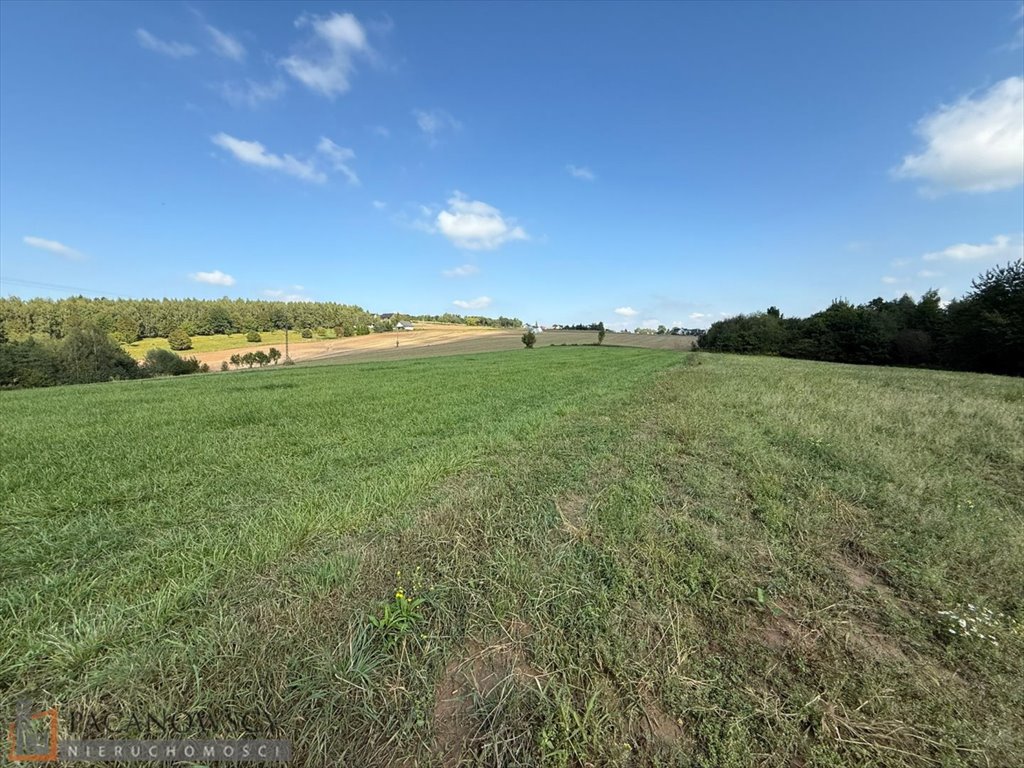 Działka rolna 42 arów w Korzkwi – cicha okolica, dojazd asfaltowy Korzkiew  4 247m2 Foto 1