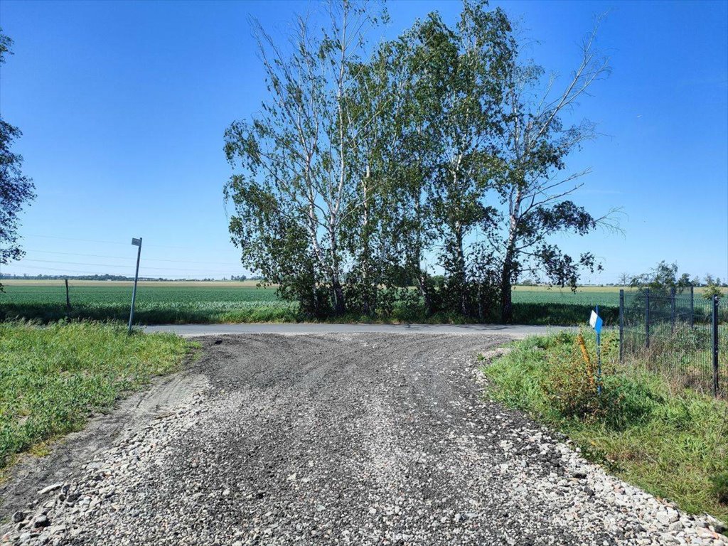 Działka budowlana na sprzedaż Ceradz Dolny  2 206m2 Foto 6