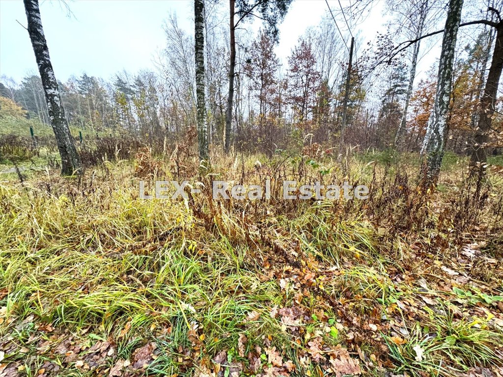 Działka budowlana na sprzedaż Strzeniówka  1 290m2 Foto 1