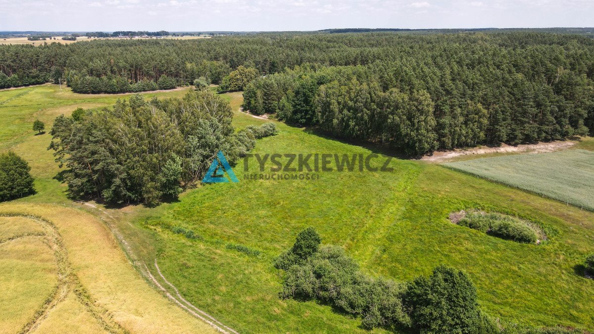 Działka rolna na sprzedaż Zielona Góra  8 155m2 Foto 4