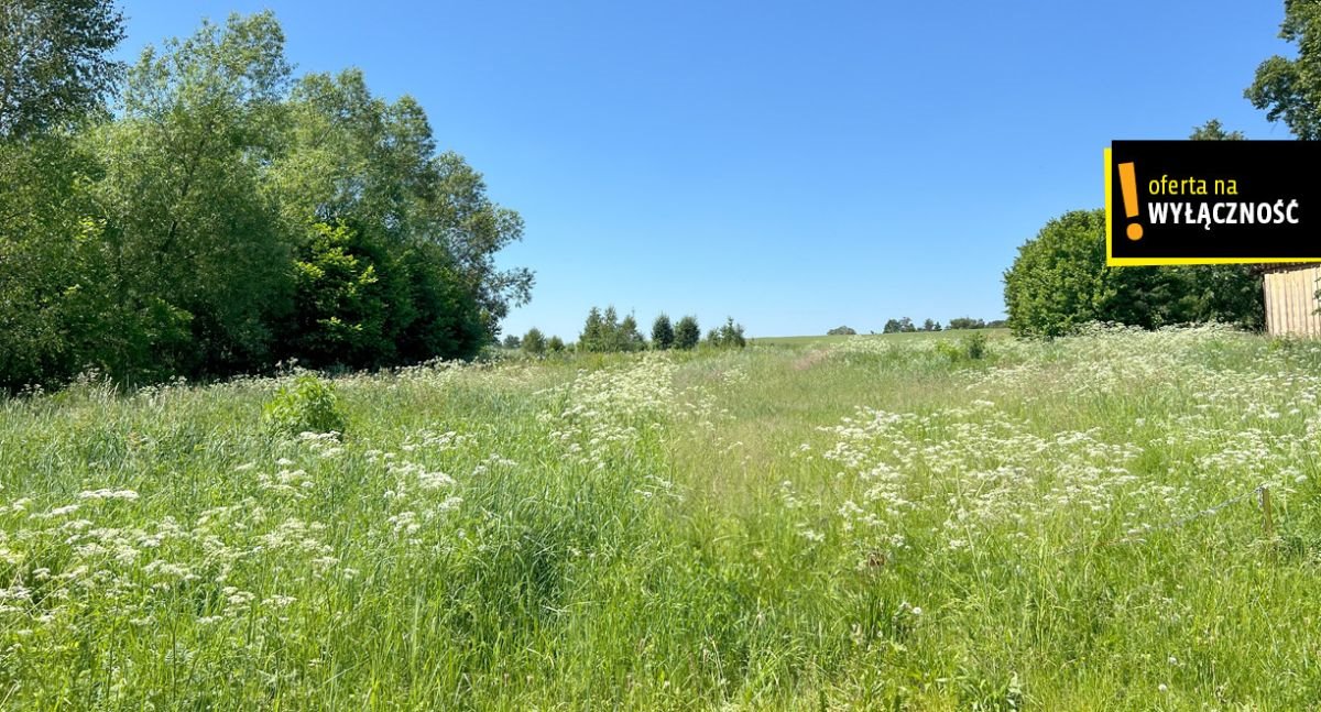 Działka budowlana na sprzedaż Rembów  4 990m2 Foto 2