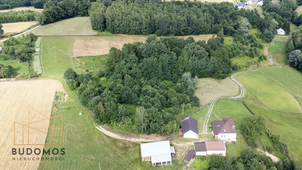 Działka rolna na sprzedaż Dębowa  7 200m2 Foto 1