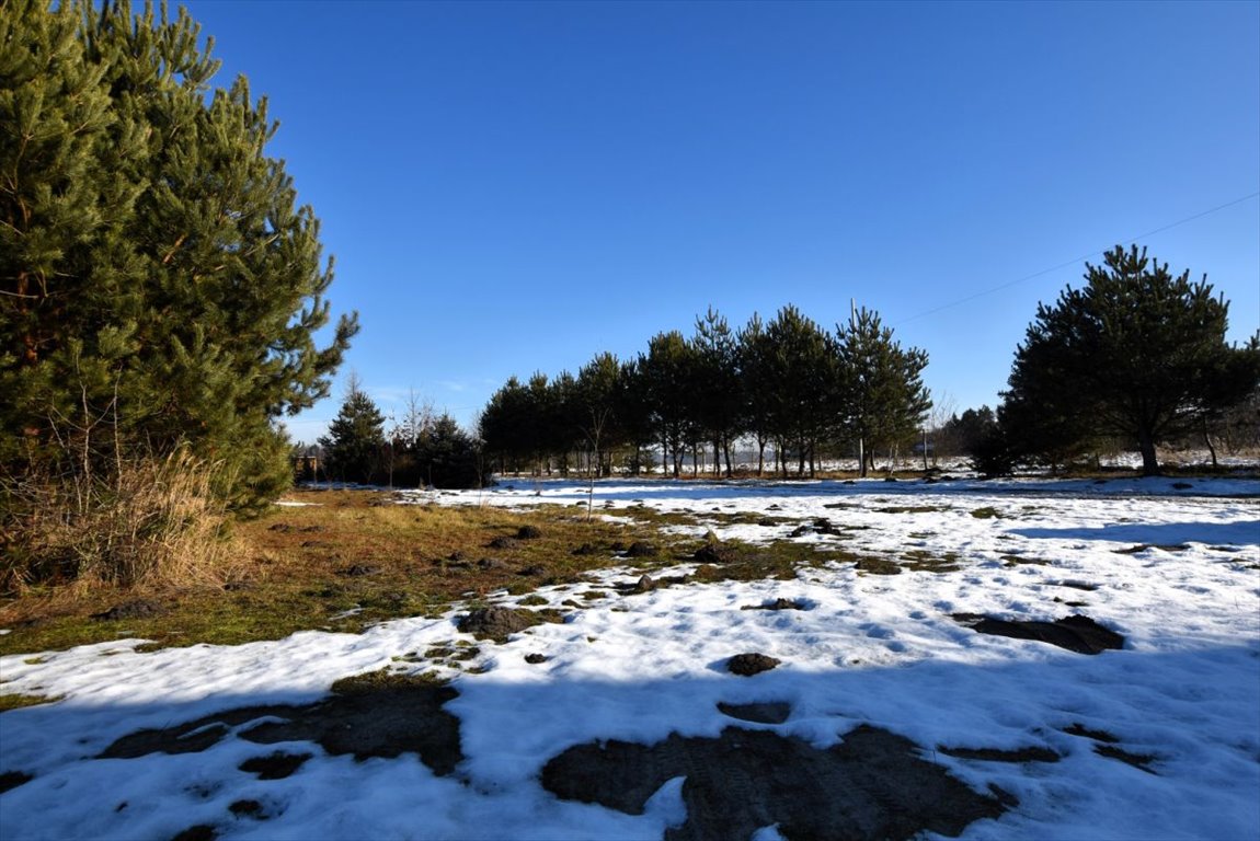 Dom na sprzedaż Ojrzeń  170m2 Foto 3