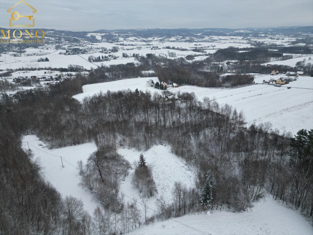 Działka inna na sprzedaż Łowczów  27 000m2 Foto 6