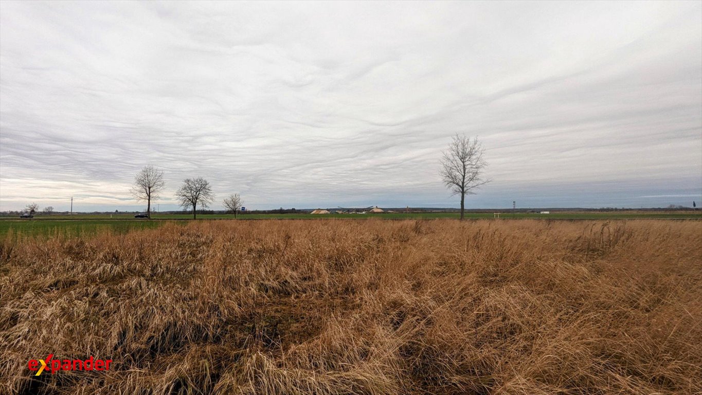 Działka budowlana 4300 m² w Kunicach – media w pobliżu Kunice  4 300m2 Foto 1