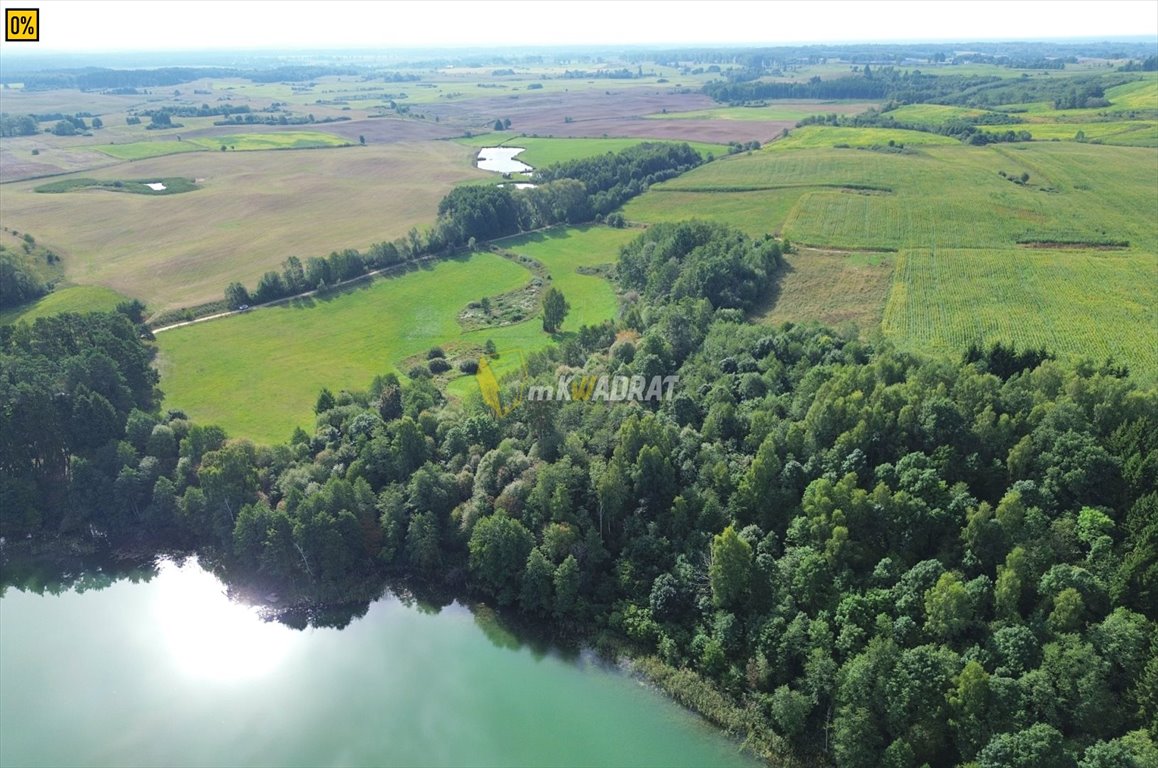 Działka rolna na sprzedaż Liski  11 000m2 Foto 3