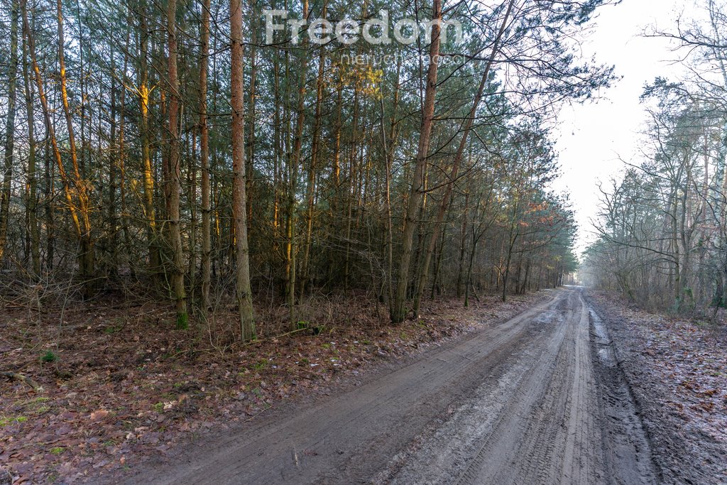 Działka budowlana na sprzedaż Świętochów, Leśna  11 932m2 Foto 3