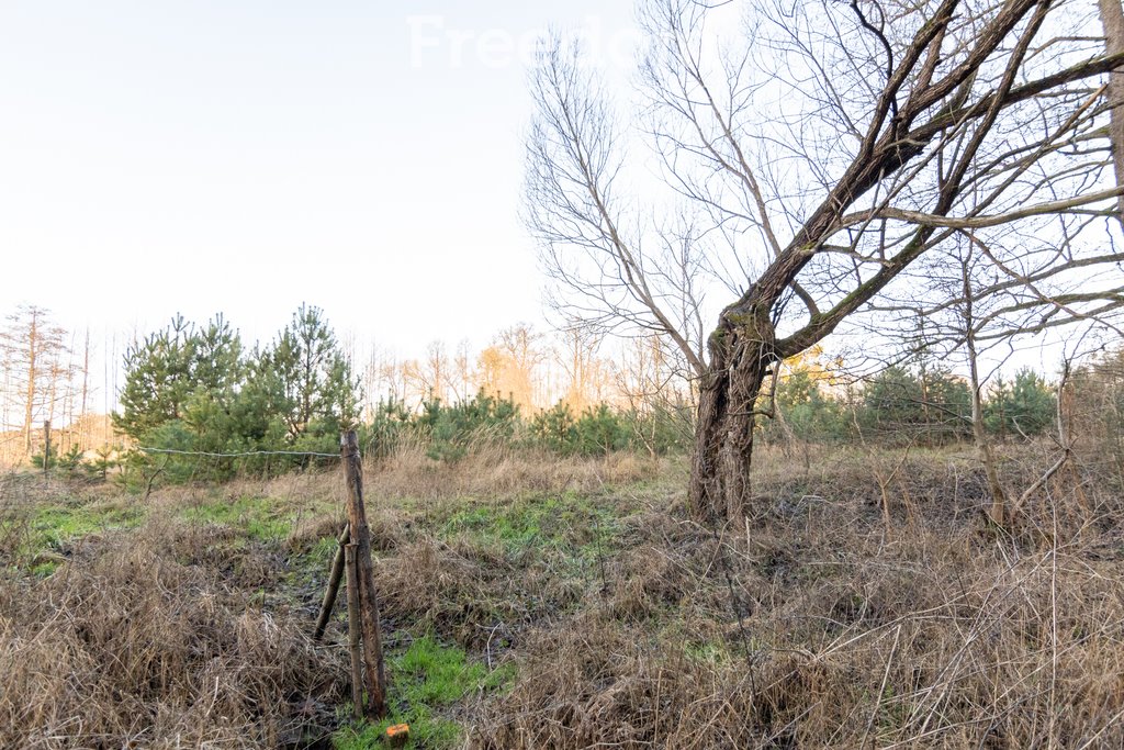 Działka budowlana na sprzedaż Kotuń  1 196m2 Foto 2