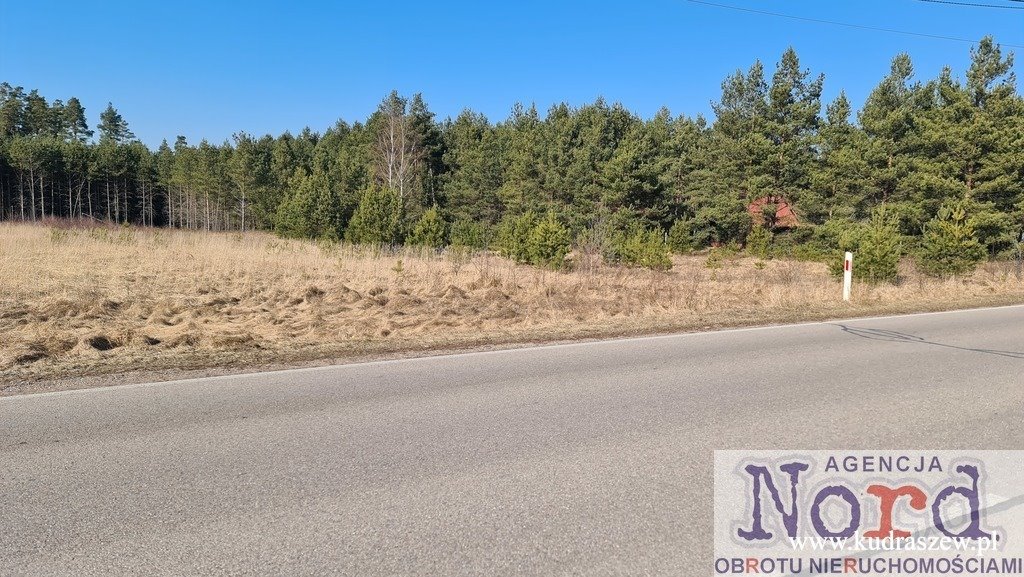 Działka budowlana na sprzedaż Gorczyca  5 400m2 Foto 1