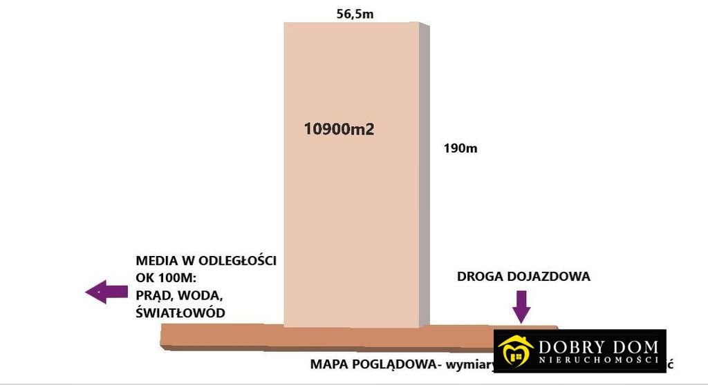 Działka siedliskowa na sprzedaż Rogówek  10 900m2 Foto 1