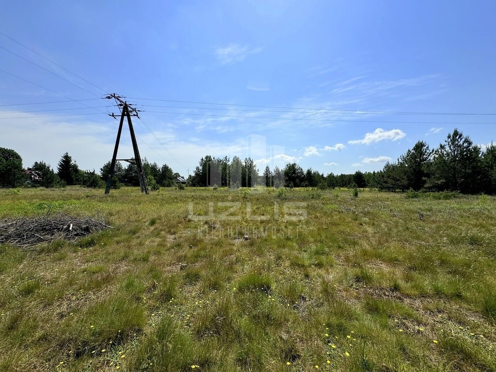 Działka budowlana na sprzedaż Cieciorka, Porzeczkowa  2 604m2 Foto 19