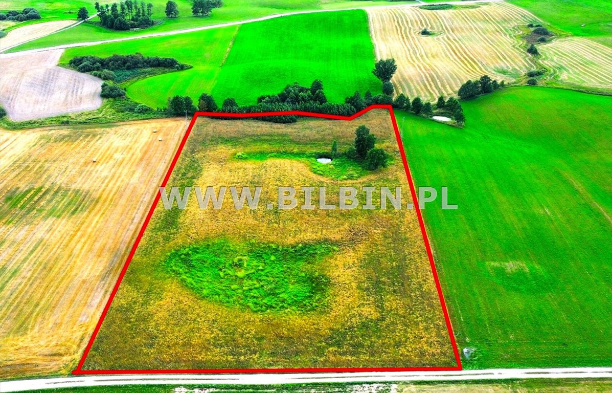 Działka rolna z stawem w Borawskim – 18 300 m² Borawskie  18 300m2 Foto 1