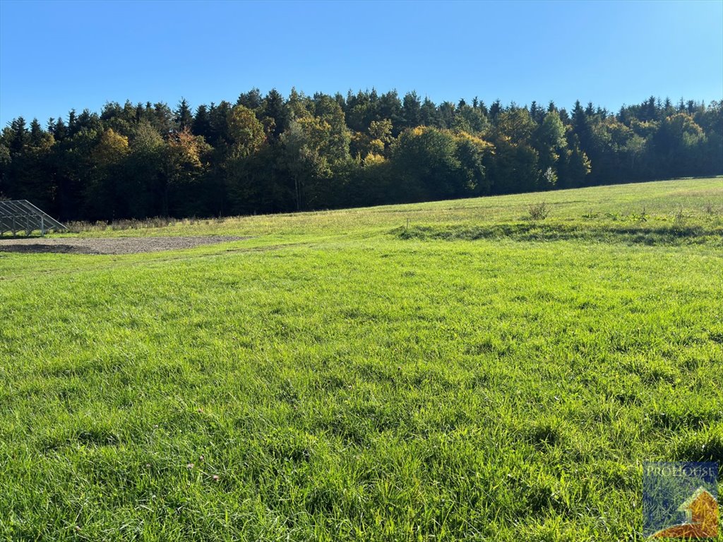 Działka budowlana na sprzedaż Męcina  6 600m2 Foto 4