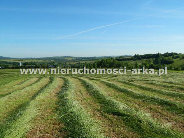 Działka budowlana na sprzedaż Skrzydlna 5 800m2 Foto 1 Działka budowlana na sprzedaż Skrzydlna 5 800m2 Foto 1