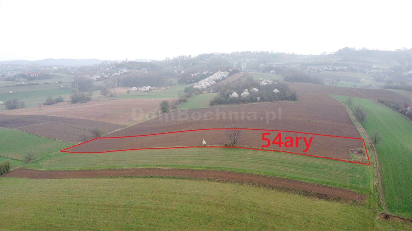 Działka rolna na sprzedaż Nieszkowice Małe  5 400m2 Foto 1