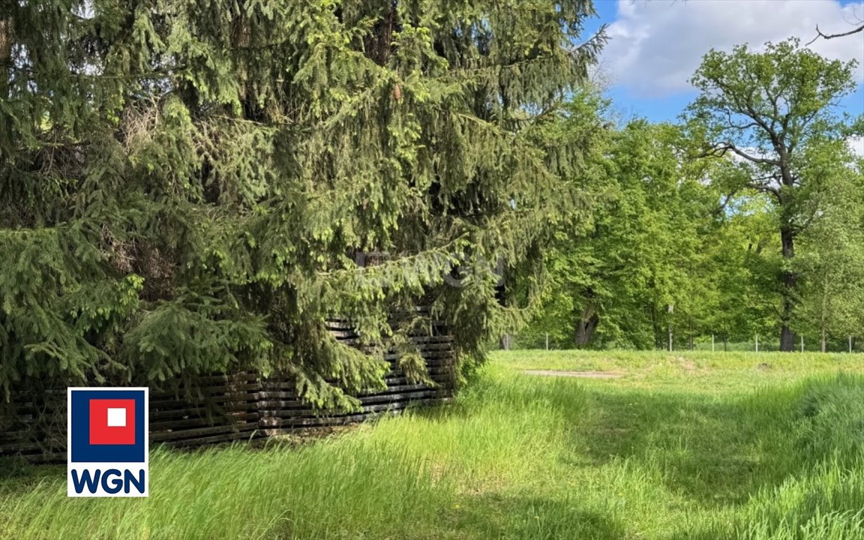 Działka budowlana z pozwoleniem na budowę w Psie Pole Wrocław, Psie Pole, PĘGOWSKA  4 622m2 Foto 1