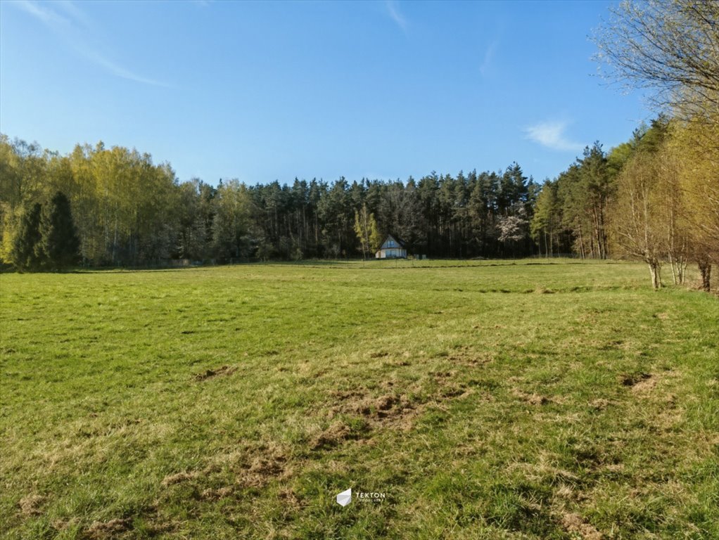 Działka 3000 m² w Czapielsku – blisko natury i miasta Czapielsk, Przebiśniegowa  3 000m2 Foto 1