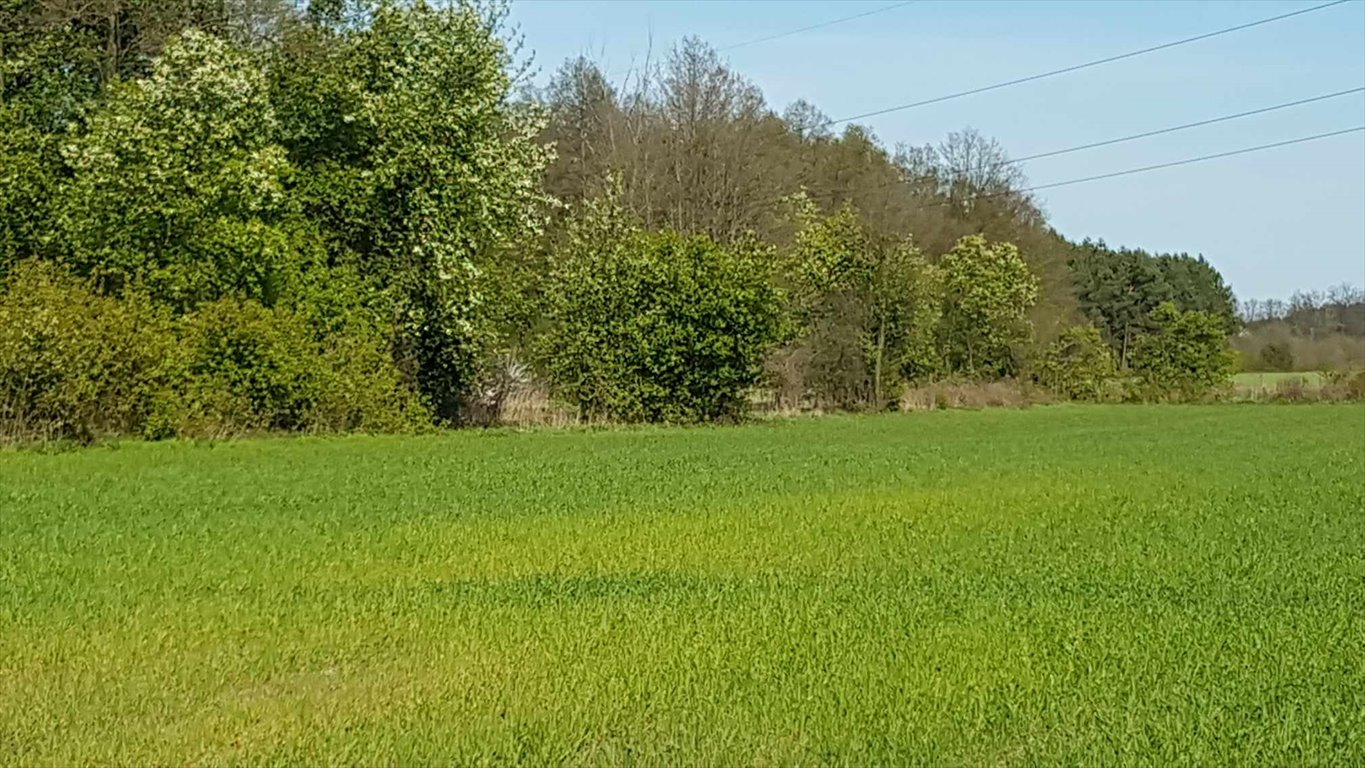 Działka budowlana na sprzedaż Miękiny  1 800m2 Foto 3