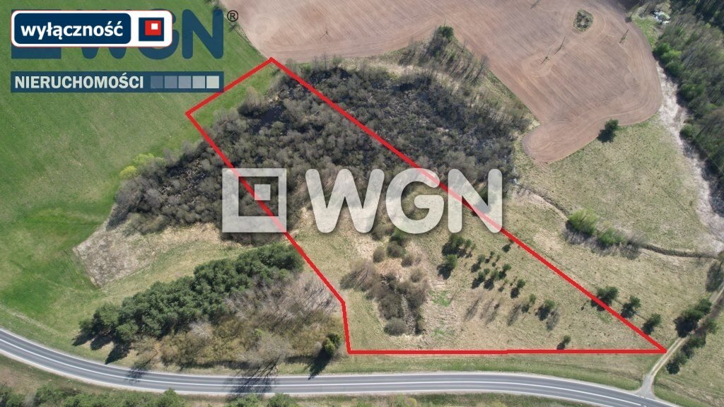 Działka rolna z możliwością zabudowy, staw i dostęp do drogi Długie  17 176m2 Foto 1