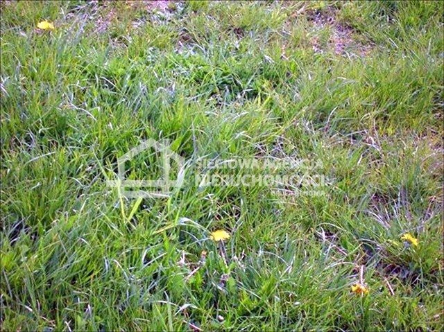 Działka budowlana na sprzedaż Chojniczki 944m2 Foto 1 Działka budowlana na sprzedaż Chojniczki 944m2 Foto 1