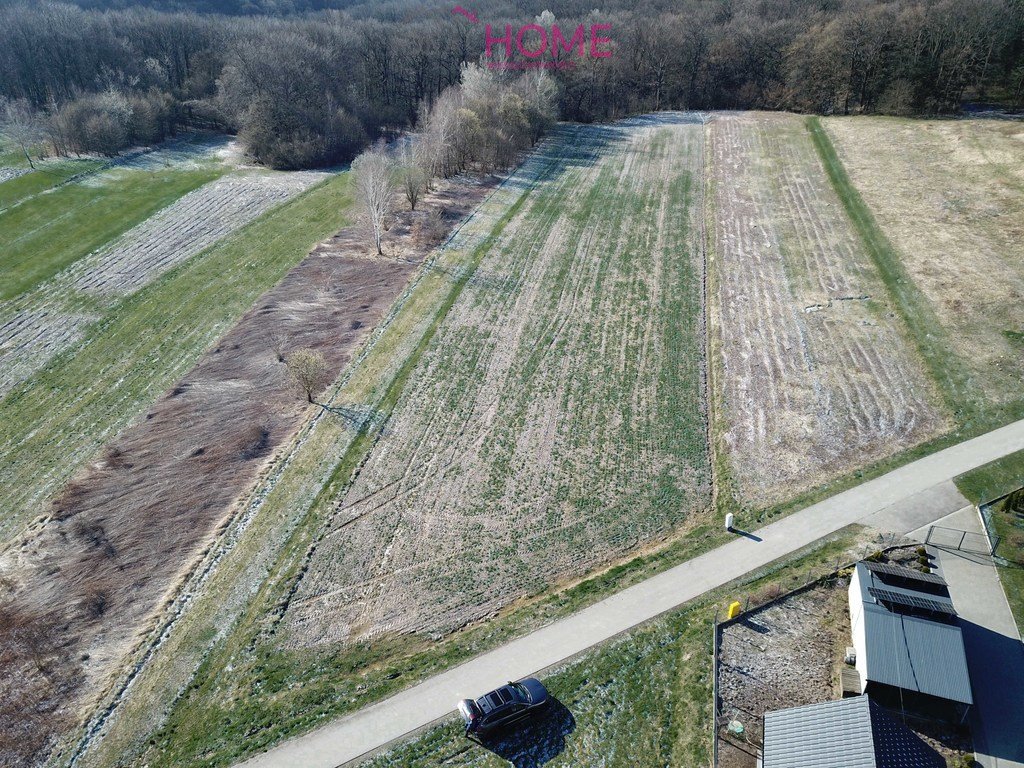 Działka rolna na sprzedaż Łaski  6 200m2 Foto 4