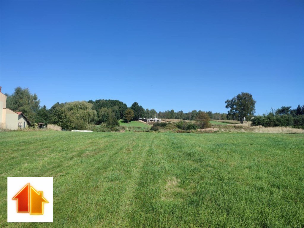 Duża działka z stawami i lasem, Żory, 8580 m2 Żory, Rój, Starowiejska  8 580m2 Foto 1