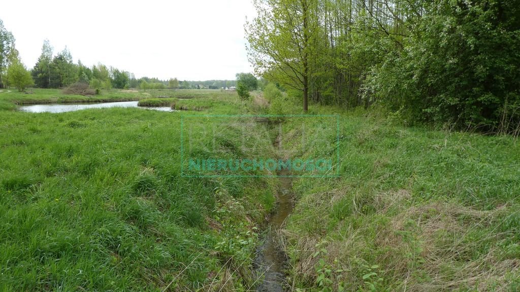 Działka siedliskowa na sprzedaż Kaleń-Towarzystwo  13 200m2 Foto 3