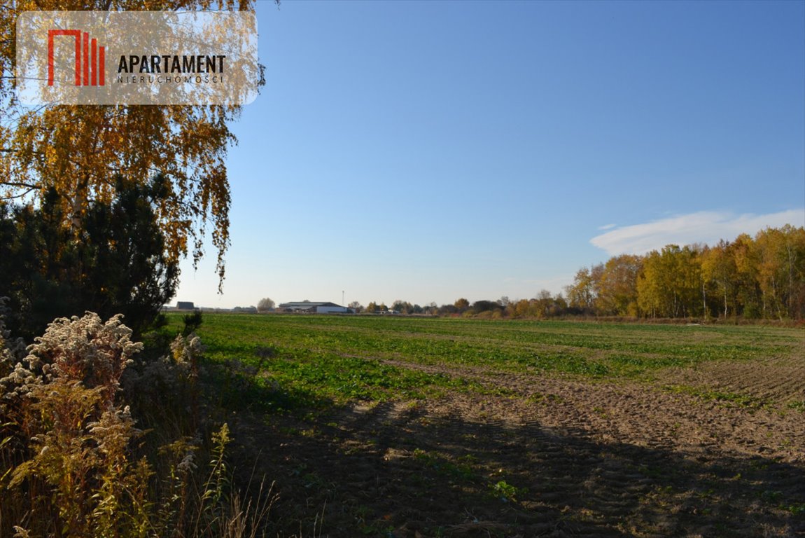 Działka inwestycyjna na sprzedaż Ramiszów  15 000m2 Foto 18