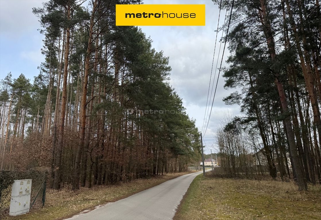 Działka rolna na sprzedaż Pągowiec  20 550m2 Foto 1