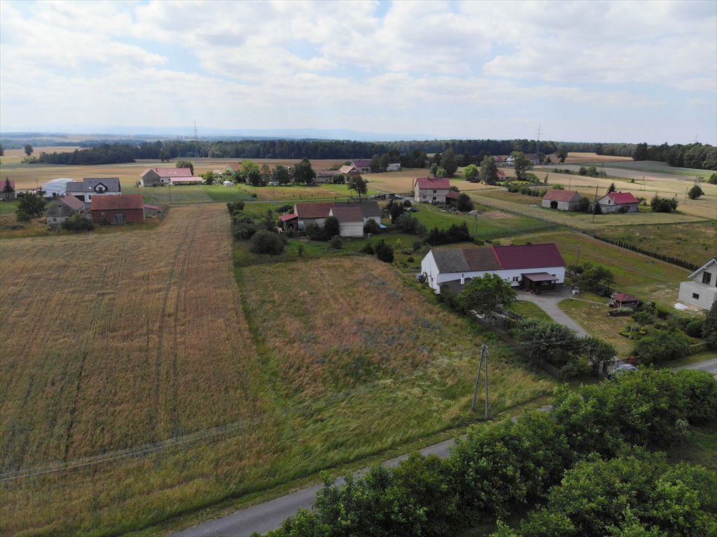 Działka budowlana na sprzedaż Gierałtów  2 200m2 Foto 9