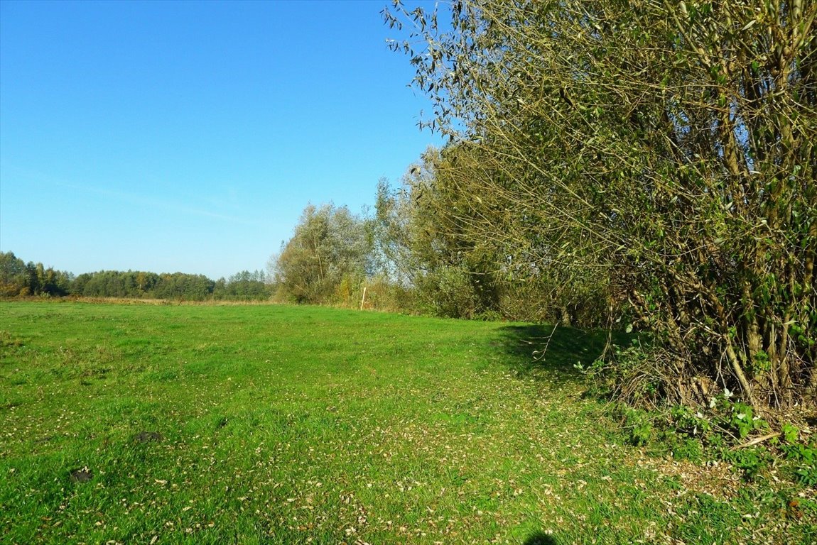 Działka komercyjna na sprzedaż Ozorków  7 836m2 Foto 5