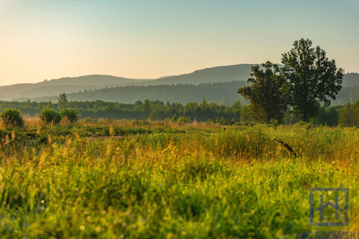 Działka budowlana na sprzedaż Świeradów-Zdrój  800m2 Foto 9