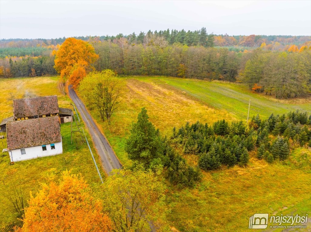 Działka budowlana na sprzedaż Węgorza, Wieś  1 500m2 Foto 12