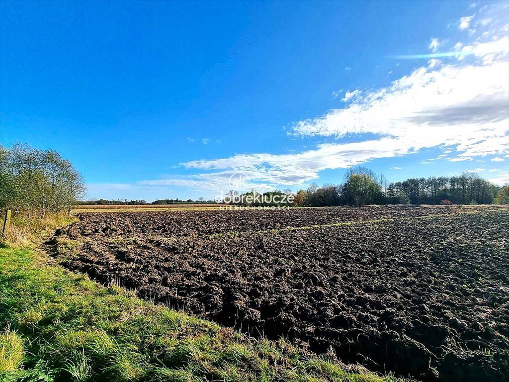 Działka rolna na sprzedaż Palikówka  420m2 Foto 3