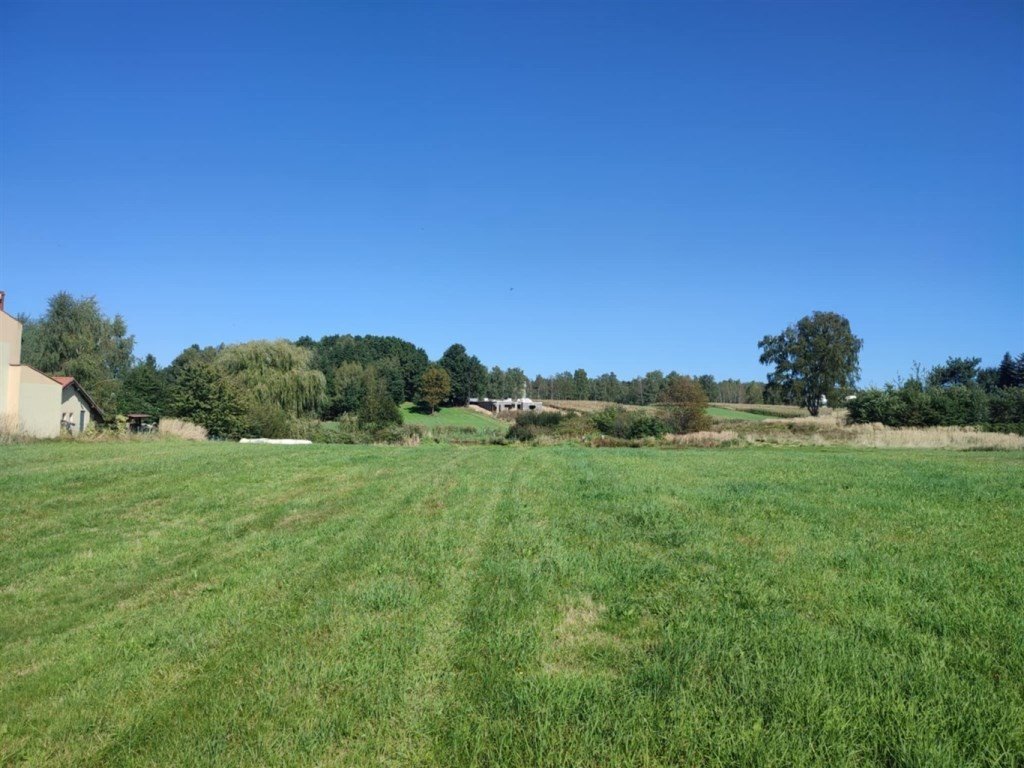 Duża działka z stawami i lasem, Żory, 8580 m2 Żory, Kłokocińska  8 580m2 Foto 1