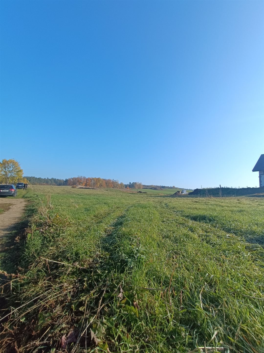 Działka rolna na sprzedaż Młyny  2 000m2 Foto 2