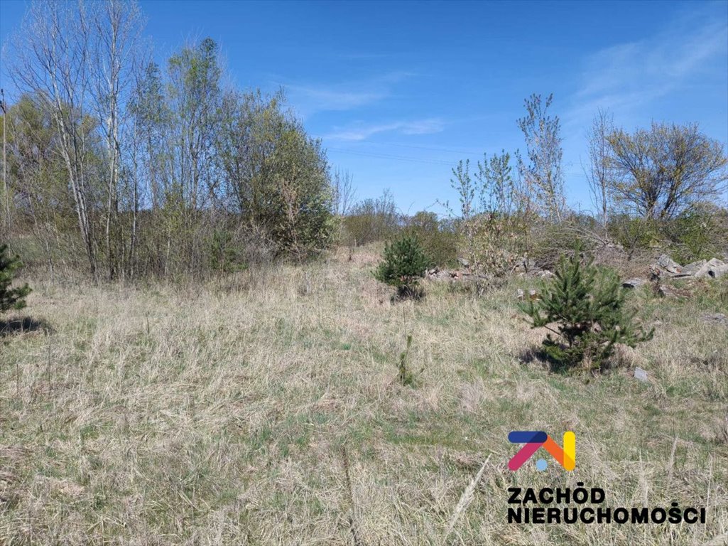 Działka 560 m² w Zabórze – idealna pod dom jednorodzinny Zabór  560m2 Foto 1