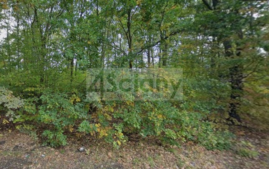 Działka budowlana na sprzedaż Grodzisk Mazowiecki  2 751m2 Foto 1