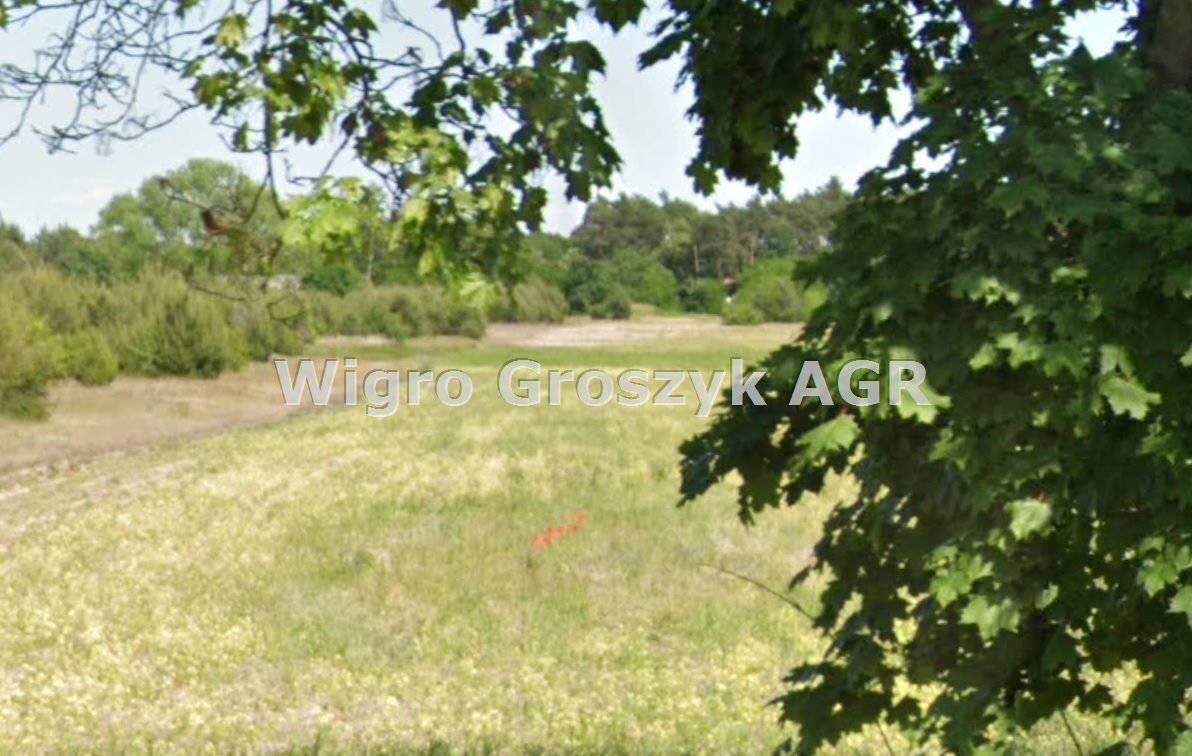 Działka pod farmę PV 25 048 m² z dostępem do sieci Budy Iłowskie  25 048m2 Foto 1