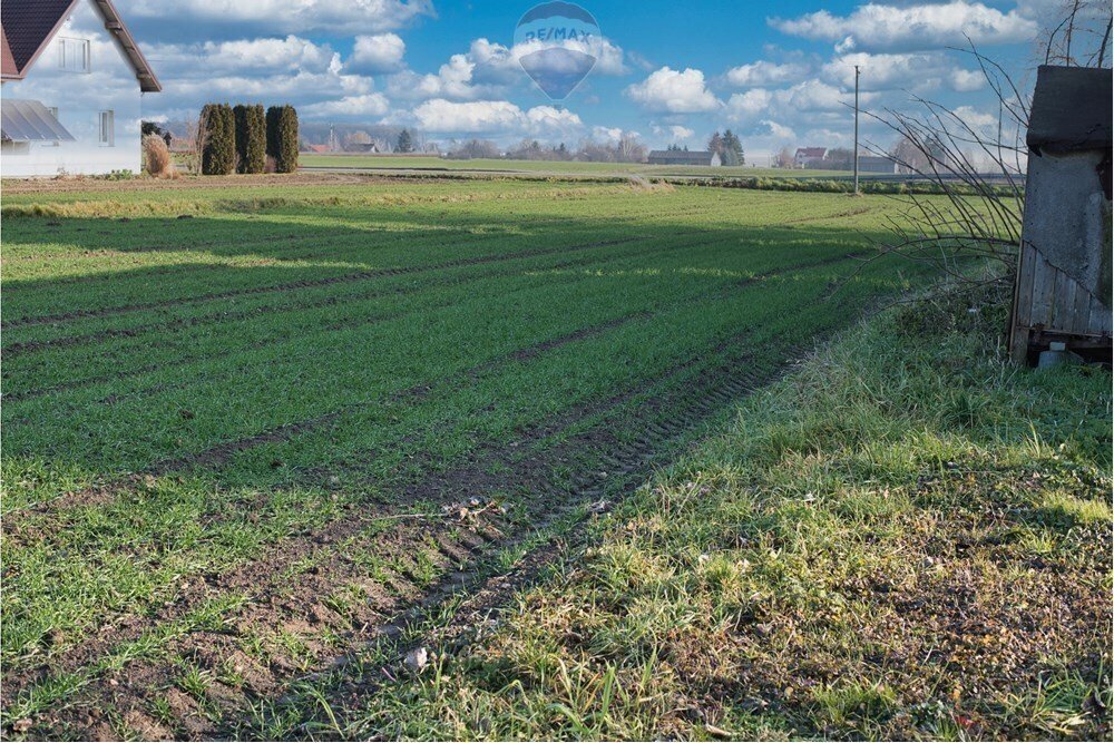 Działka przemysłowo-handlowa na sprzedaż Świdnik Duży, Świdnik Duży Drugi  7 100m2 Foto 8